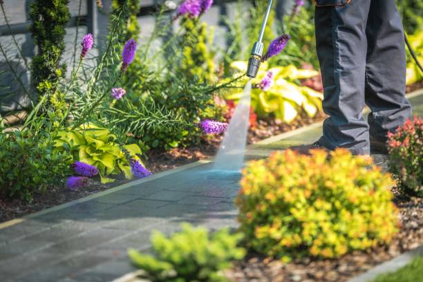 Best Soft Washing for Delicate Surfaces in Point Venture, TX